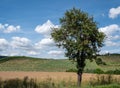 Wine-growing area on the Saale