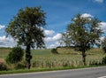 Wine-growing area on the Saale-Unstrut in Saxony-Anhalt