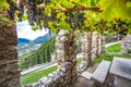 Wine growing at Castello di Avio Trento Royalty Free Stock Photo