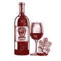 Wine Hand Draw Sketch. Vector