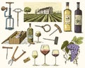 Wine harvest products, press, grapes, vineyards corkscrews glasses bottles for menus and signage in the bar. engraved