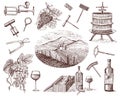 Wine harvest products, press, grapes, vineyards corkscrews glasses bottles for menus and signage in the bar. engraved