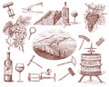 Wine harvest products, press, grapes, vineyards corkscrews glasses bottles in vintage style, engraved hand drawn