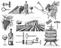 Wine harvest products, press, grapes, vineyards corkscrews glasses bottles