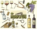 Wine harvest products, press, grapes, vineyards corkscrews glasses bottles in vintage style, engraved hand drawn