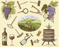 Wine harvest products, press, grapes, vineyards corkscrews glasses bottles in vintage style, engraved hand drawn