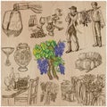 Wine harvest, vintage - an hand drawn vector set. Royalty Free Stock Photo