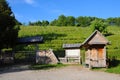 The Wine hill of Sabile, Latvia Royalty Free Stock Photo