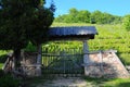 The Wine hill of Sabile, Latvia