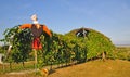 Wine hut,Oggau,Lake Neusiedl,Austria Royalty Free Stock Photo