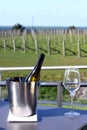 Wine in an ice bucket Royalty Free Stock Photo