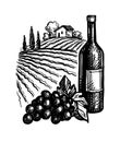 Wine ink sketch. Royalty Free Stock Photo