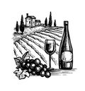 Wine ink sketch. Royalty Free Stock Photo