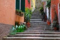 Wine Jars and Steps, Cinque Terre, Italy