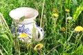 Wine jug in rustic style in grass