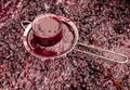 Wine juice in the glass. Wine fermentation in process Royalty Free Stock Photo
