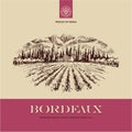 Wine label, vineyard landscape hand drawn illustration Royalty Free Stock Photo