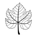 Wine leaf isolated on white background. Black silhouette of grape leaf. Vector illustration for any design