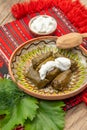 Wine leaf wrapped minced meat, balkanic sarma dish Royalty Free Stock Photo