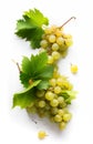 Wine list background; sweet white grapes and leaf Royalty Free Stock Photo