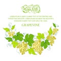 Wine list design with grapes decoration. Royalty Free Stock Photo