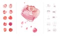 Wine logo template with collection of hand drawn watercolor colorful backdrops