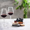 Wine lover concept Royalty Free Stock Photo