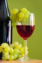 Wine making Royalty Free Stock Photo