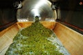 Wine making: pressing of grapes