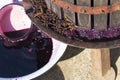 Wine making. Technology of wine production in Moldova. Royalty Free Stock Photo