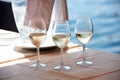 Wine Near Sea Royalty Free Stock Photo