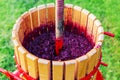 Wine press machine with red must and helical screw. Crusher, wooden winepress on grass outdoors.Concept of small craft business.