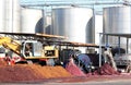 Wine-producing factory, Zapponeta, Italy