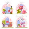 Wine production concept set. Grape wine in a bottle or glass. Alcohol drink