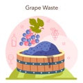 Wine production. Grape selection and processing. Grape berries Royalty Free Stock Photo
