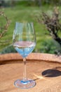 Wine production in Netherlands, white wine tasting glass close up