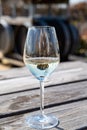 Wine production in Netherlands, white wine tasting glass close up