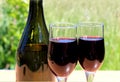 Two glasses of wine stand on a table in front of nature Royalty Free Stock Photo