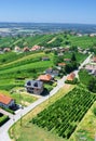 Wine region of Lendava, Slovenia