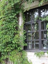 wine goes around the window