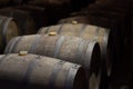 Wine ripening in barrels in a winery