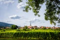 Wine Road in Alsace wine landscape