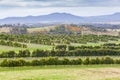 Wine rows, Devil's Corner winery, Tasmania