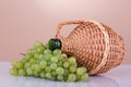 Wine's jar 3. Royalty Free Stock Photo