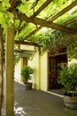 Wine sales and tasting signs at quaint winery entrance covered in grapevines. Royalty Free Stock Photo