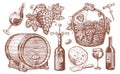 Wine set. Viticulture, vineyard concept vintage illustration. Collection of hand drawn sketches