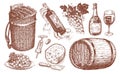 Wine set. Viticulture concept vintage illustration. Collection of hand drawn sketches