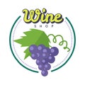 Wine Shop Poster. Winemaking Concept Logo.