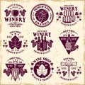 Wine shop and winery set of nine vector emblems