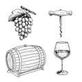 Wine sketch set. Grape, corkscrew, wine barrel or cask and glass of wine. Hand drawn vector illustrations for menu or package desi Royalty Free Stock Photo